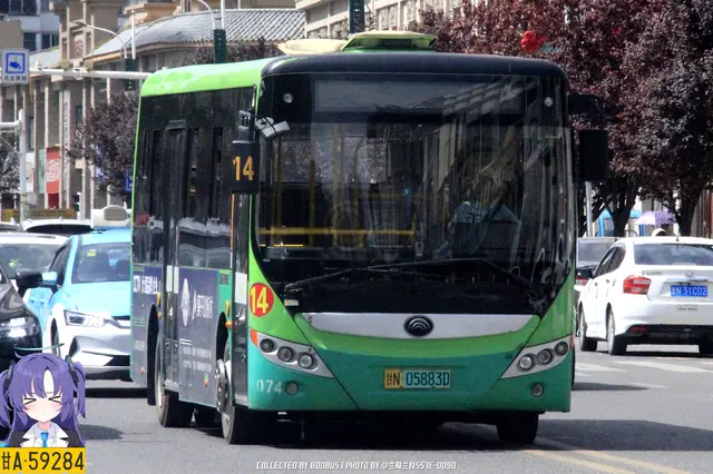800BUS