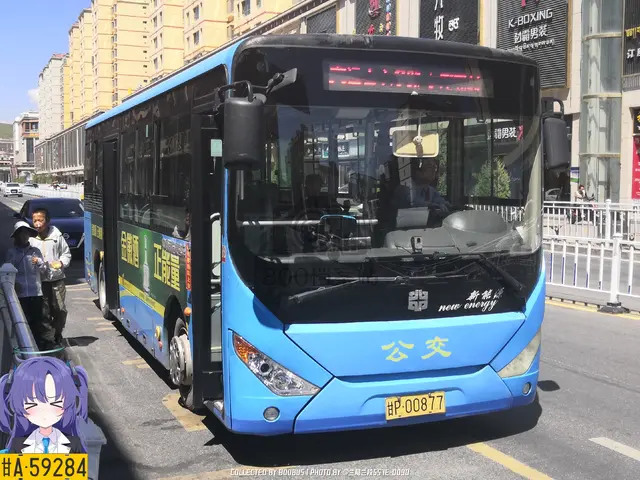 甘P 00877