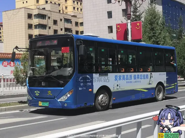 甘P 20235D
