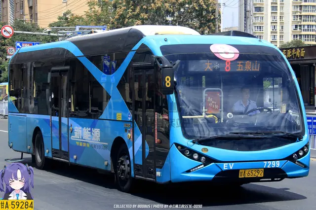 800BUS