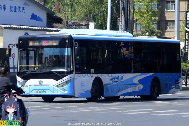 800BUS