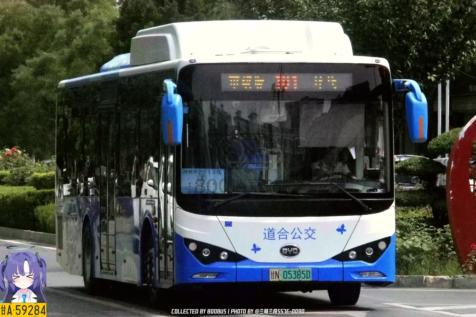 Bus Archive