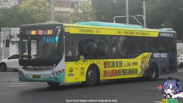 800BUS