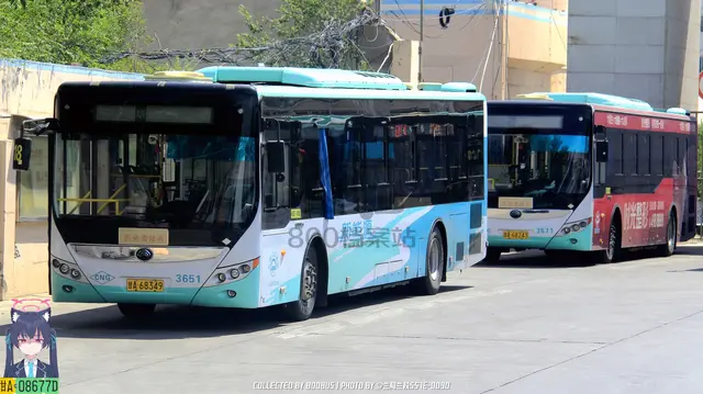 800BUS