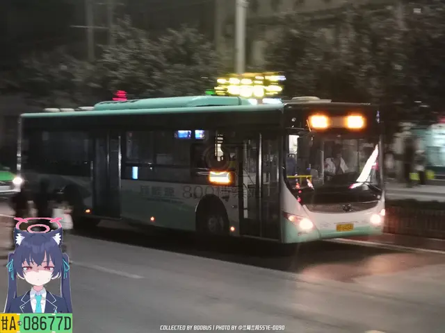 800BUS
