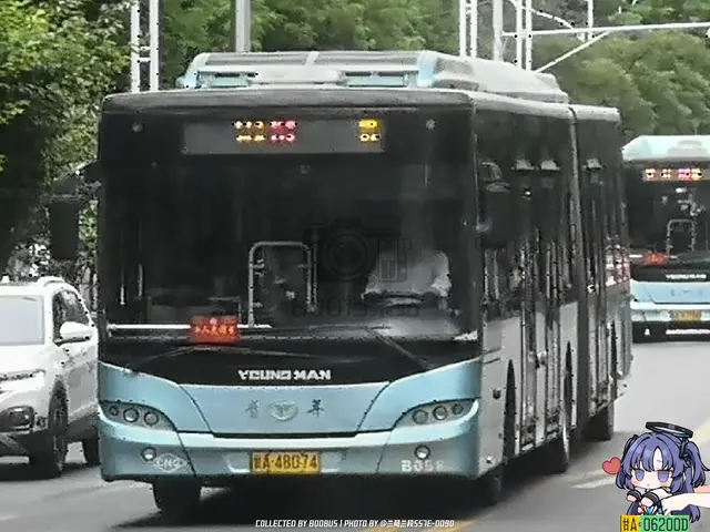 800BUS