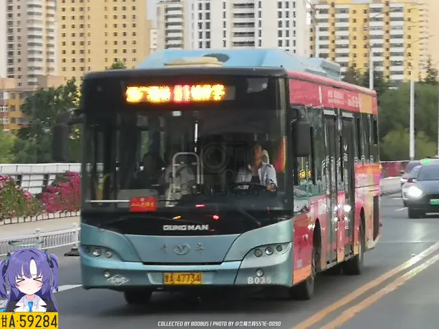 800BUS