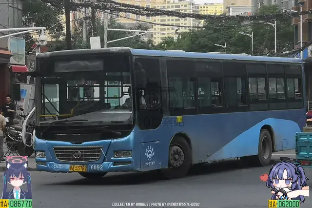 800BUS