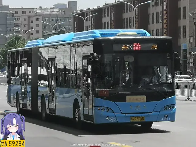 800BUS