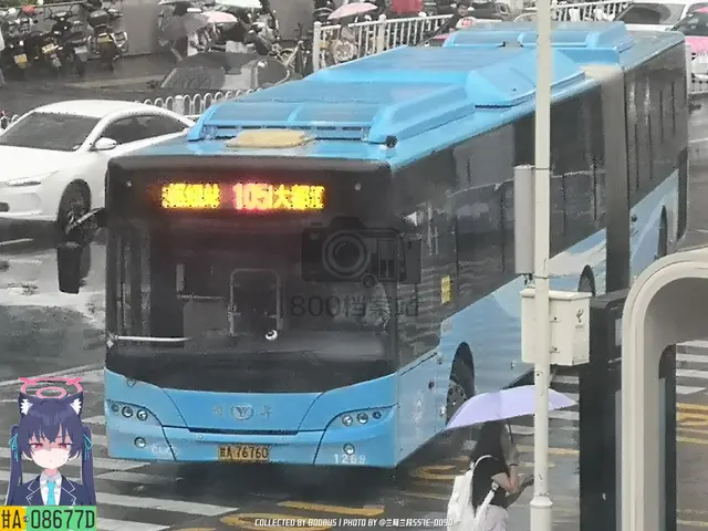 800BUS