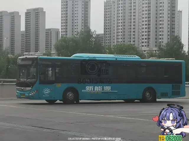 800BUS