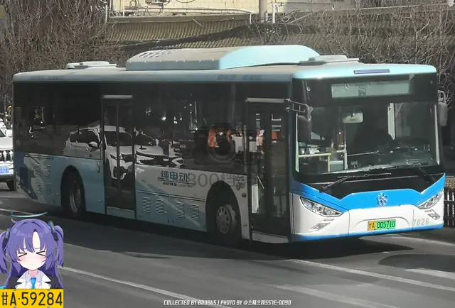 800BUS
