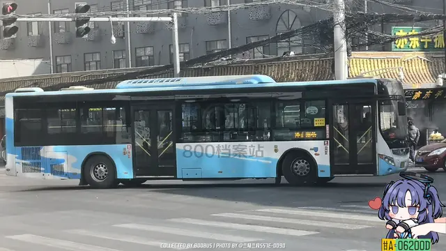 800BUS