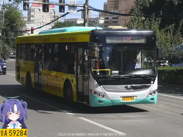 800BUS