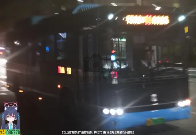 800BUS
