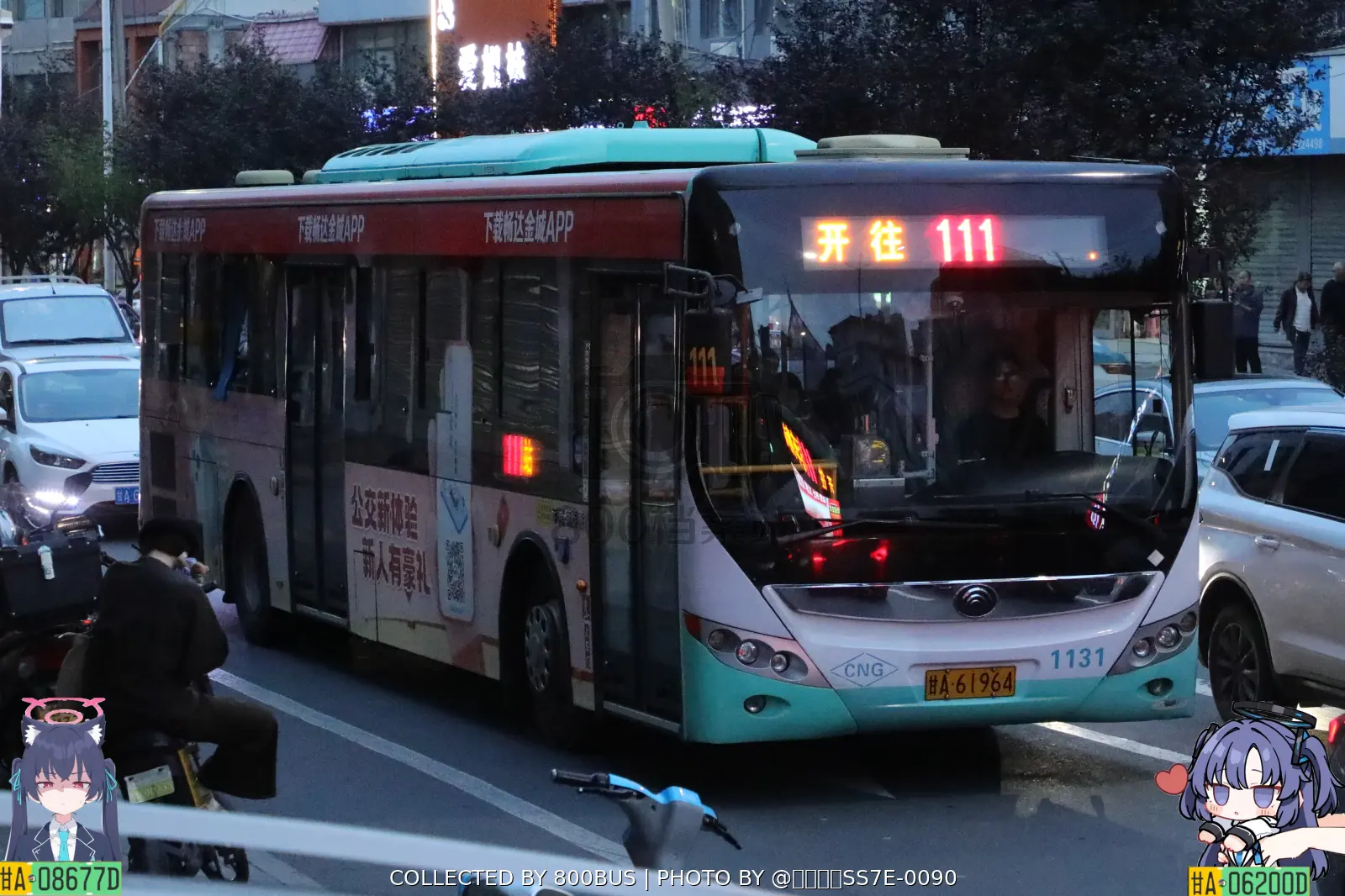 Bus Archive
