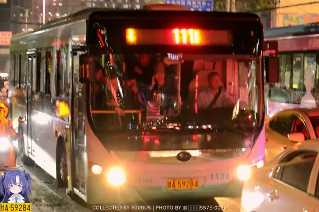 800BUS