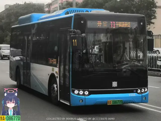 800BUS