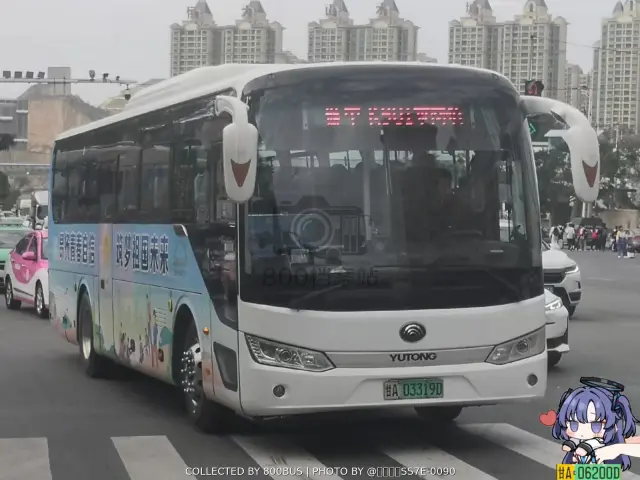 800BUS