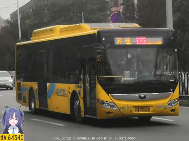 800BUS