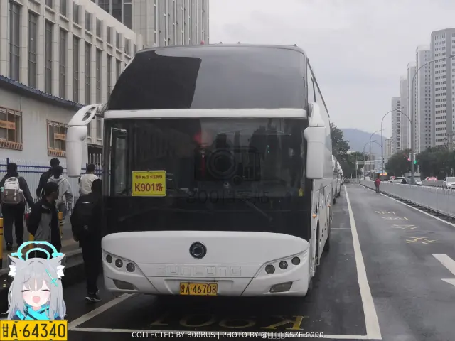 800BUS