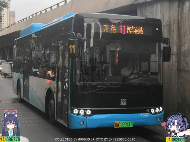 800BUS