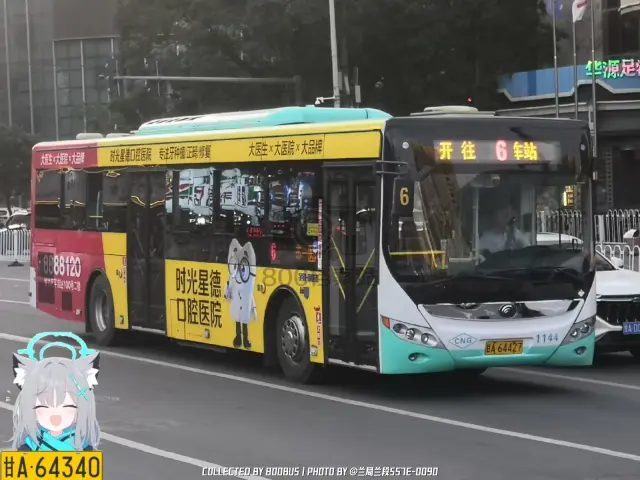 800BUS