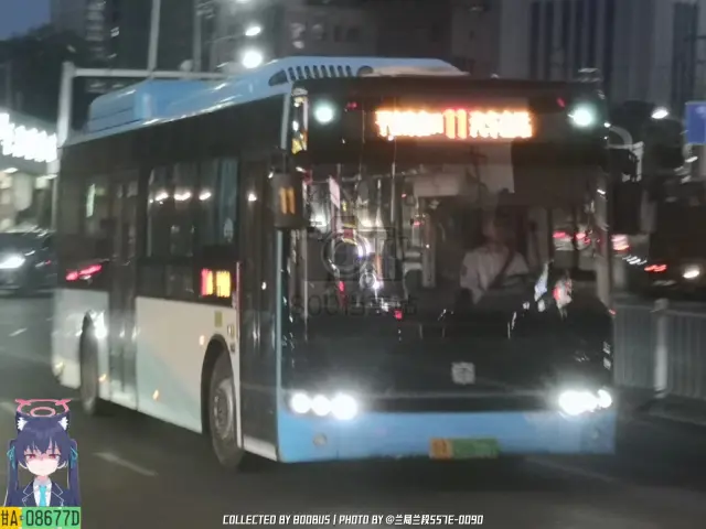 甘A 08677D