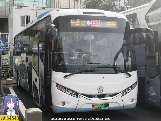 甘A 10990D
