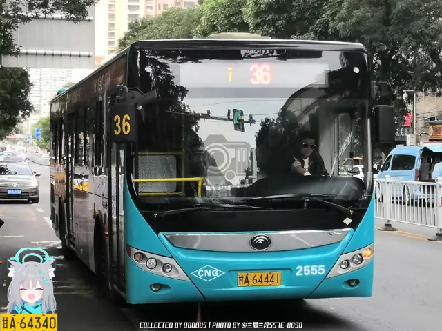 甘A 64441