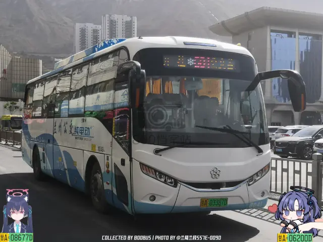 800BUS
