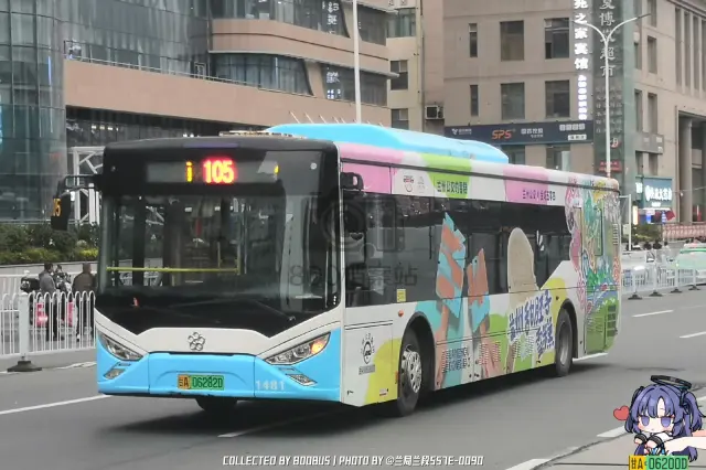 800BUS