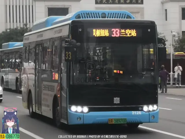 800BUS
