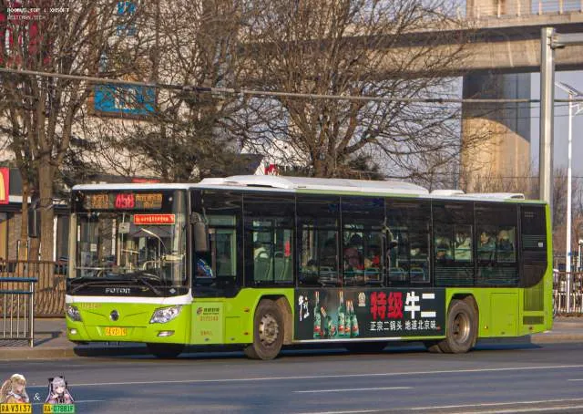 京AV3119