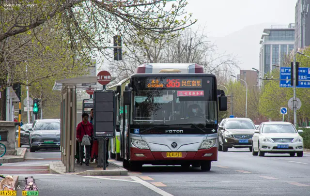 800BUS