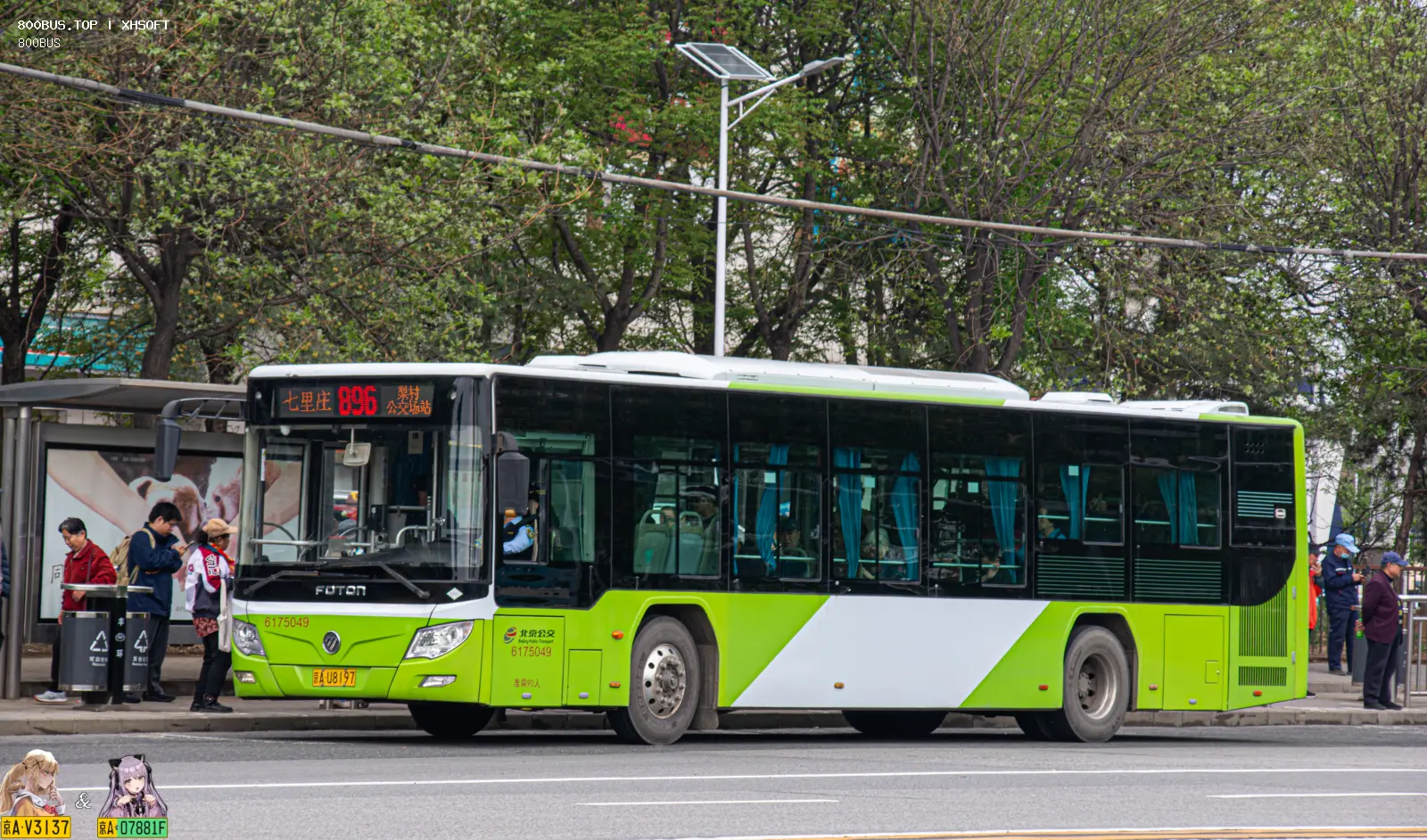 Bus Archive