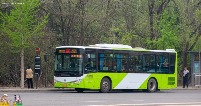 京A EQ953