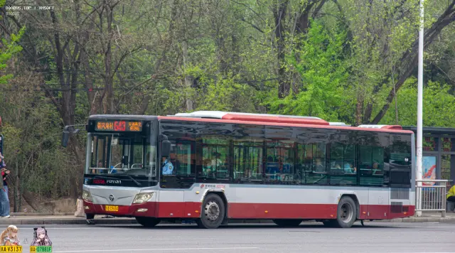 京A C9684