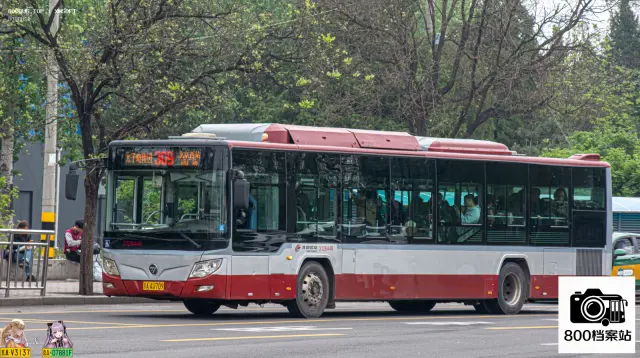 800BUS