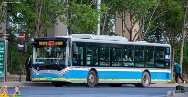 800BUS
