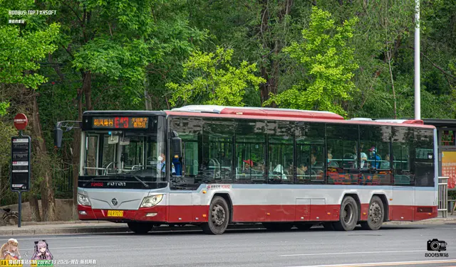 800BUS