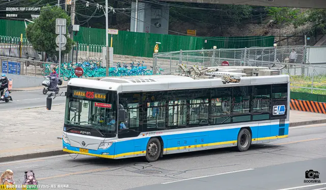 800BUS