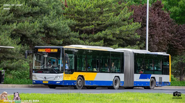 800BUS