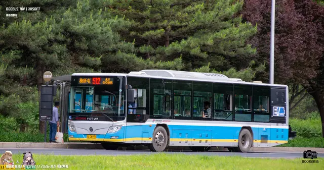 800BUS