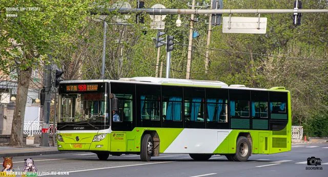 800BUS