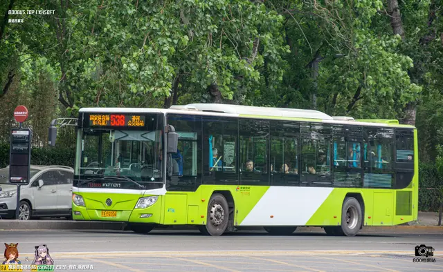 800BUS