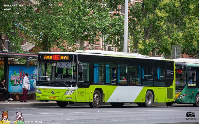 800BUS