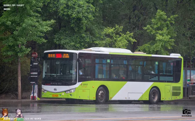 800BUS