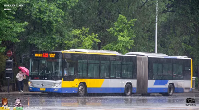 800BUS