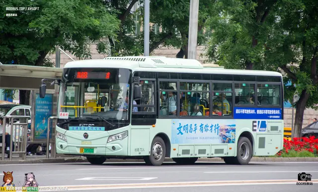 800BUS